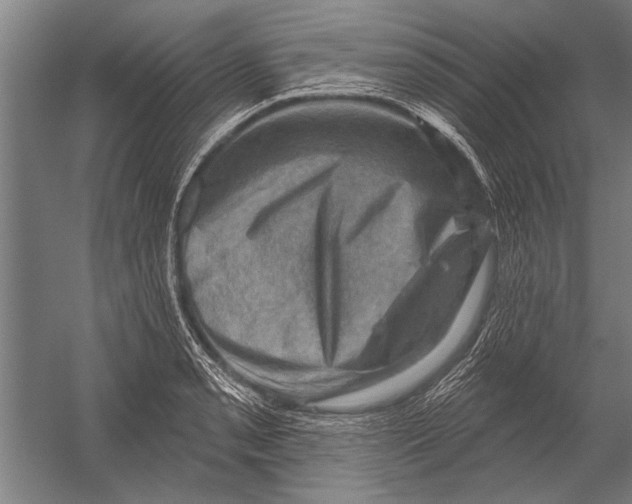 X0000052931085200507292346