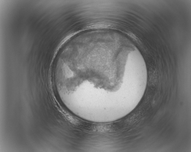 X0000052931086200507292346