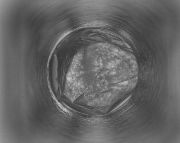 X0000052931087200507292346