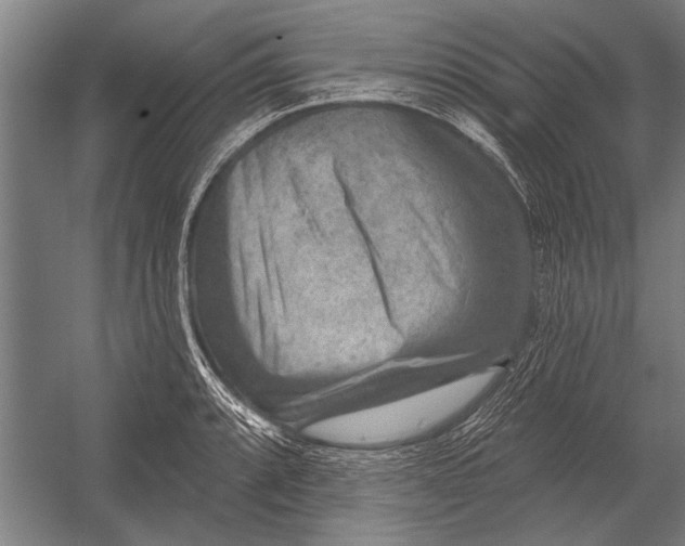 X0000052931088200507292346