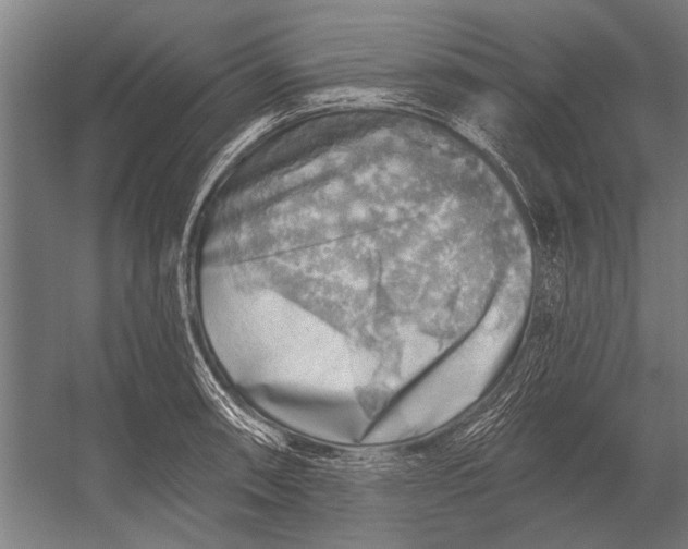 X0000052931090200507292346