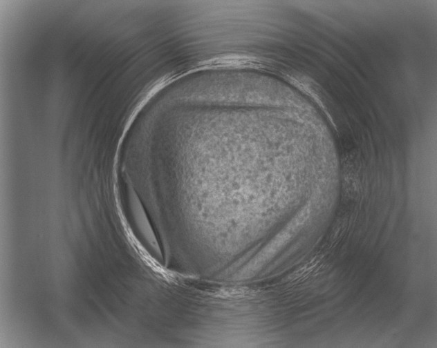 X0000052931091200507292346