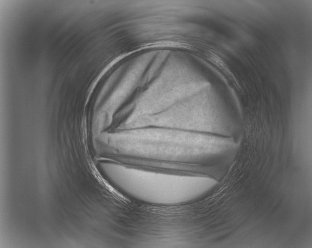 X0000052931092200507292346