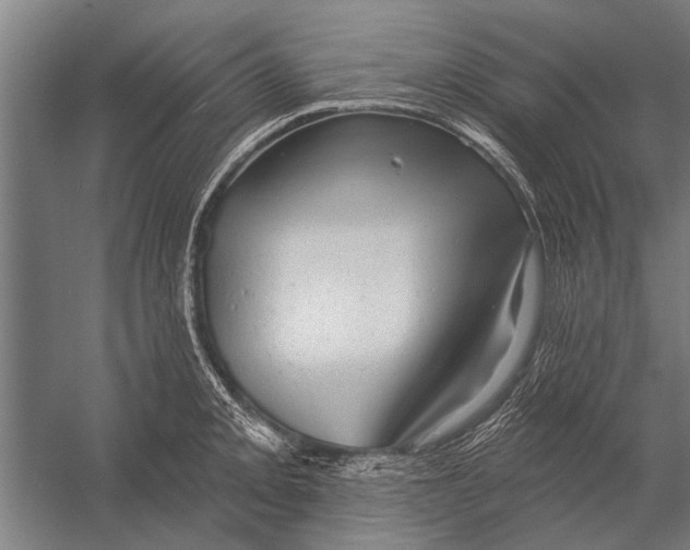 X0000052931093200507292346