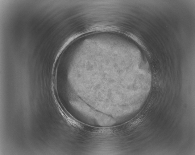 X0000052931094200507292346