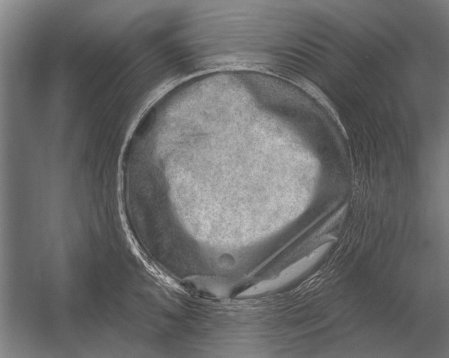 X0000052931096200507292346