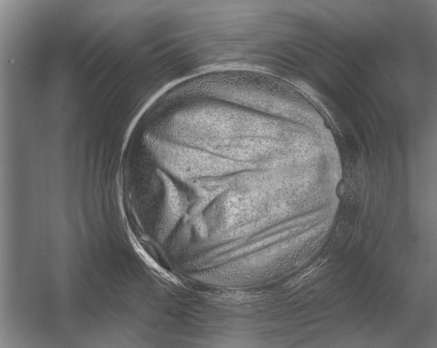 X0000052931100200507292345