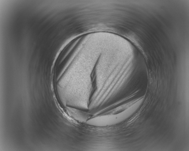 X0000052931102200507292345