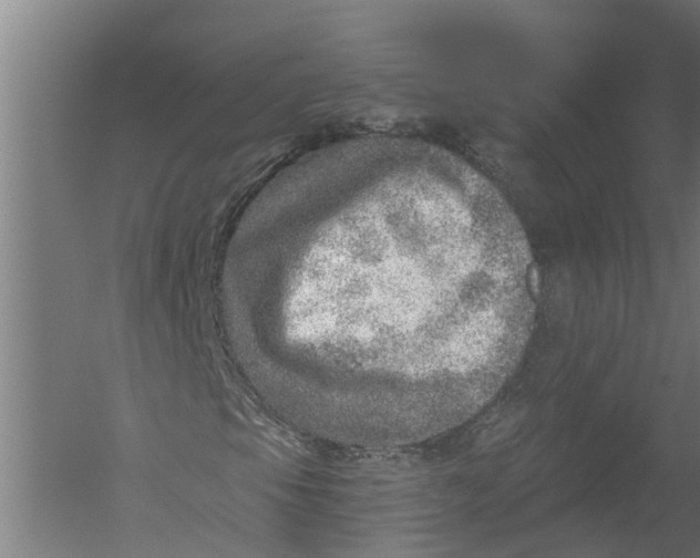 X0000052931105200507292345