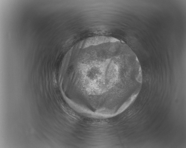 X0000052931106200507292345