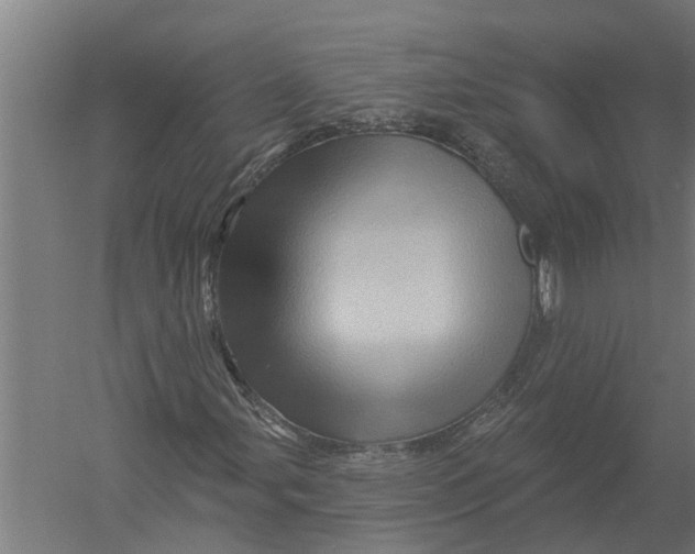 X0000052931107200507292345