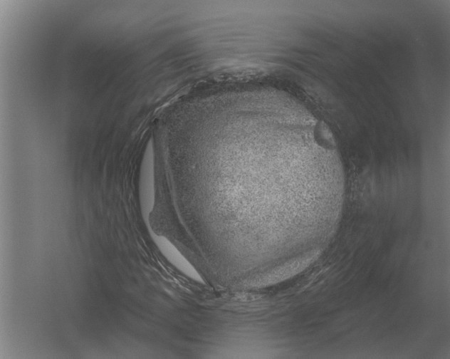 X0000052931109200507292345