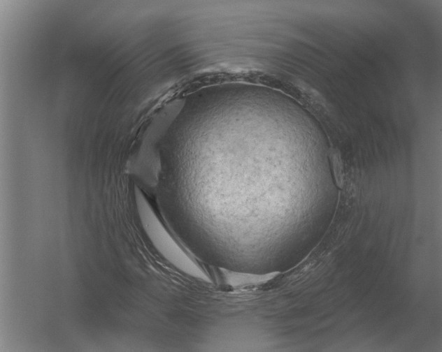 X0000052931110200507292345