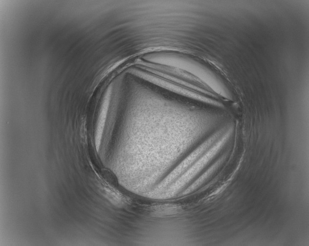 X0000052931113200507292345