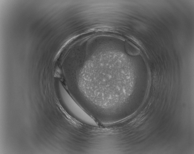 X0000052931115200507292345