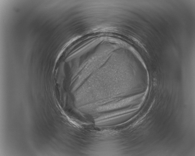 X0000052931117200507292345