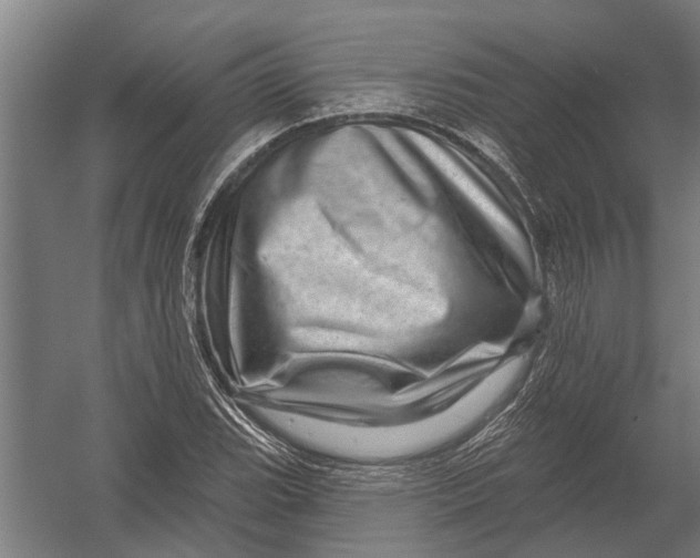 X0000052931119200507292345