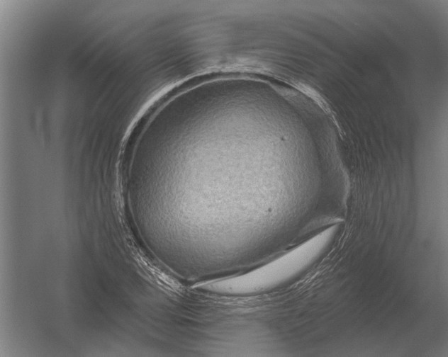 X0000052931120200507292345