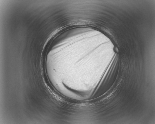 X0000052931122200507292345