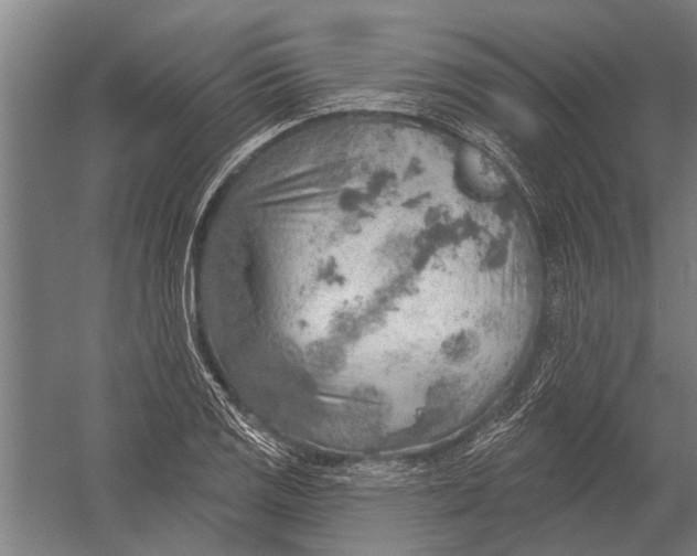 X0000052931125200507292345