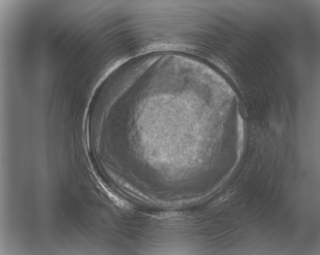 X0000052931127200507292345