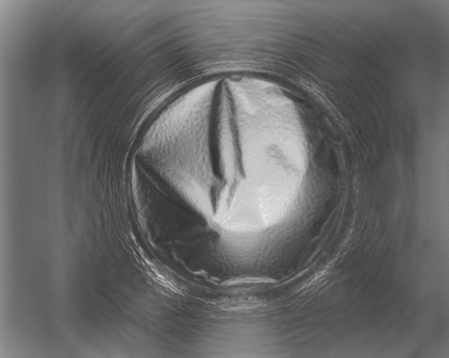 X0000052931129200507292345