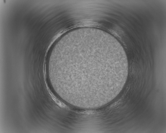 X0000052931130200507292345