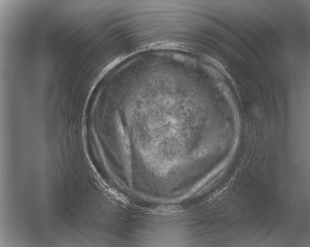 X0000052931133200507292345