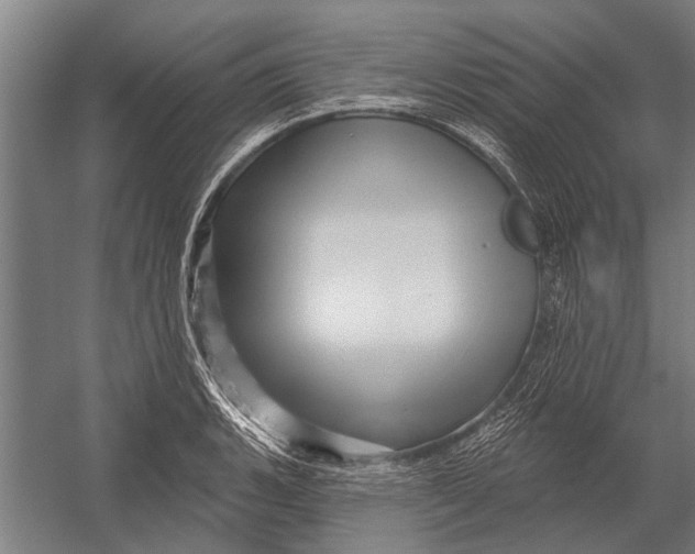 X0000052931135200507292345