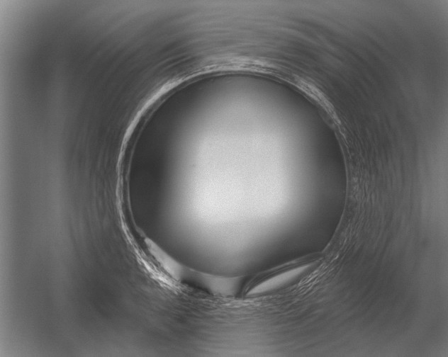 X0000052931136200507292345