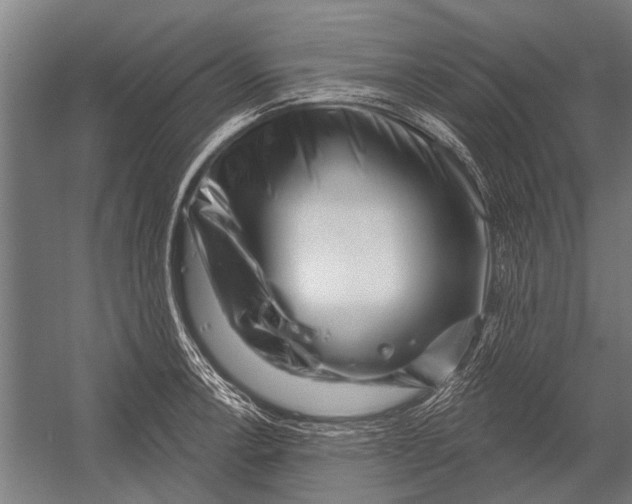 X0000052931138200507292345