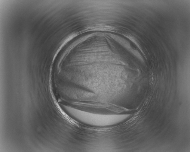 X0000052931139200507292345