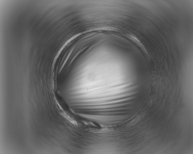 X0000052931140200507292345