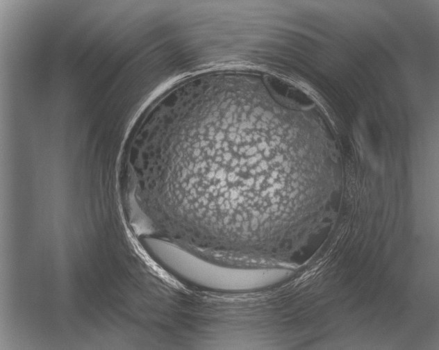 X0000052931142200507292345