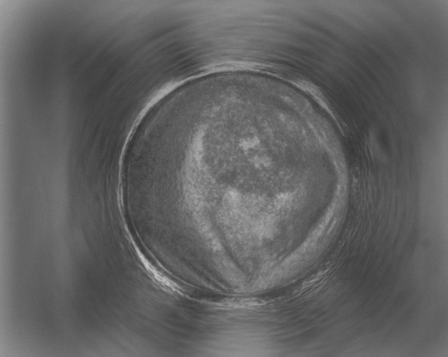 X0000052931143200507292345