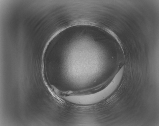 X0000052931144200507292345