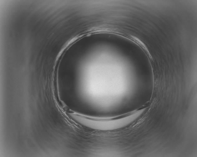 X0000052931146200507292345