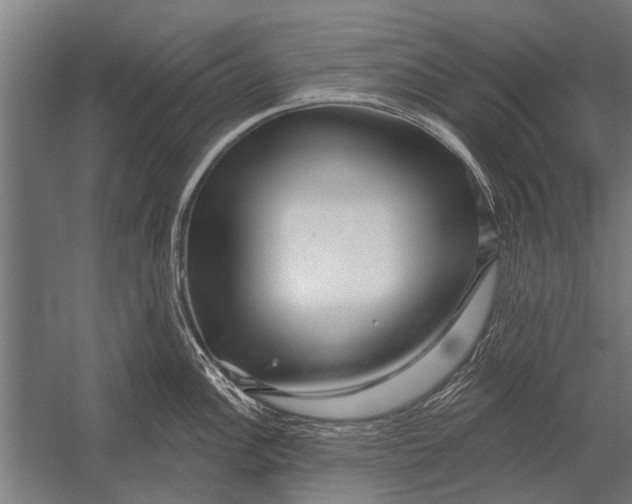 X0000052931148200507292345