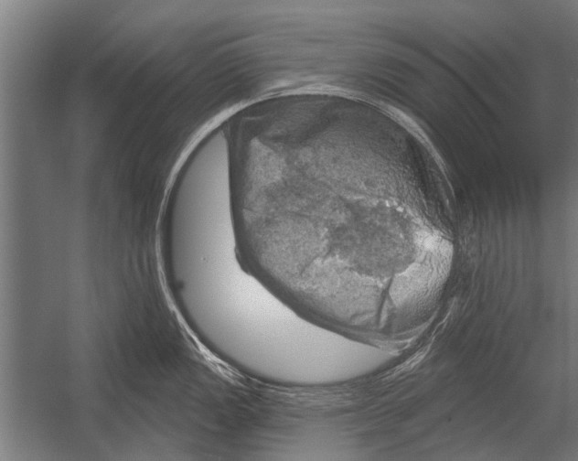 X0000052931149200507292345