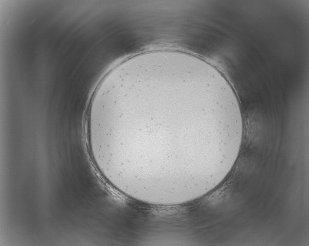 X0000052931150200507292345