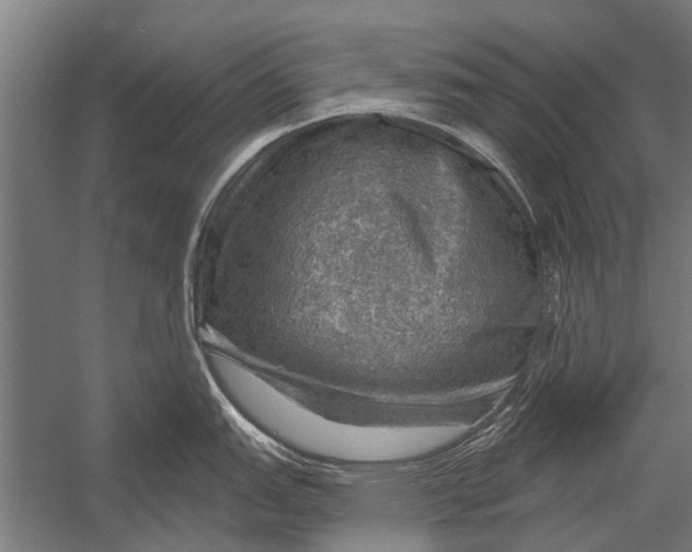 X0000052931151200507292345