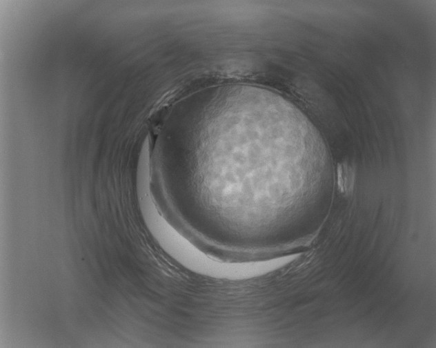 X0000052931155200507292345