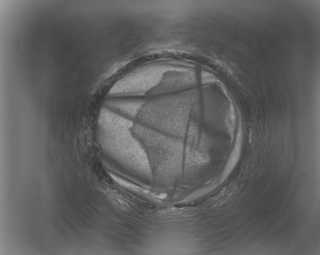 X0000052931159200507292344