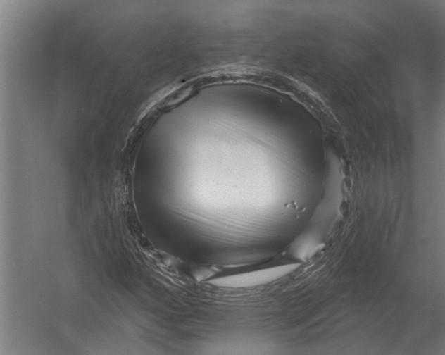 X0000052931160200507292344