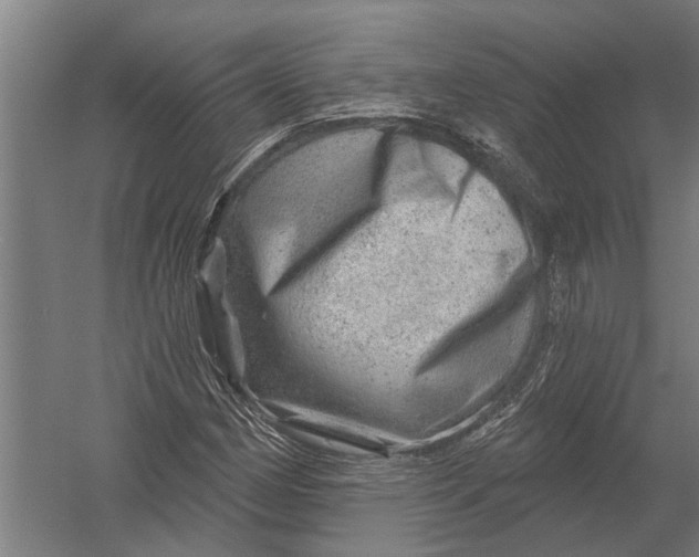 X0000052931162200507292344