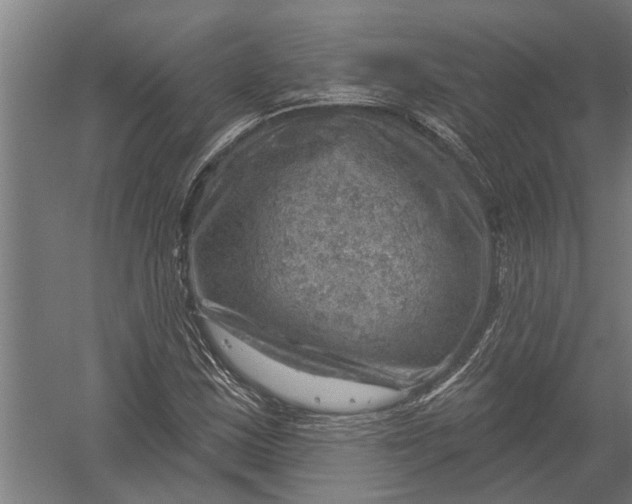 X0000052931163200507292344