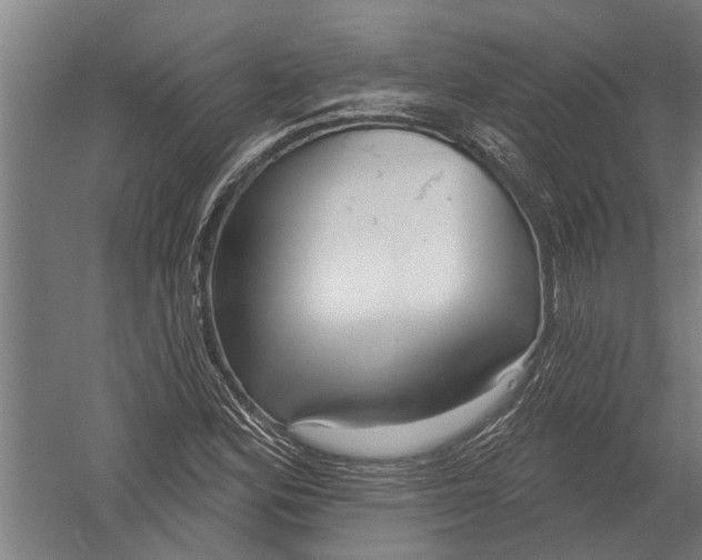 X0000052931164200507292344