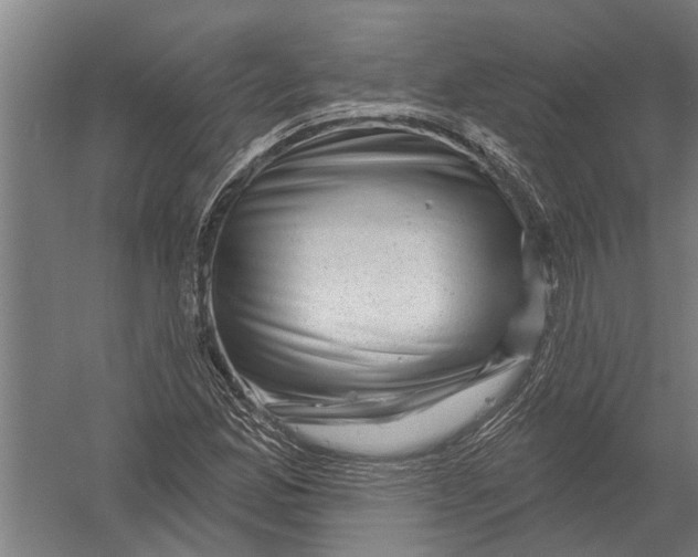 X0000052931165200507292344