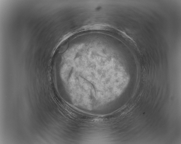 X0000052931166200507292344