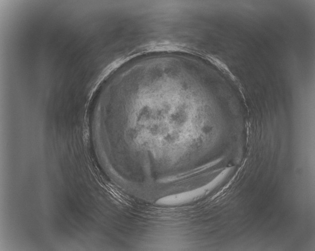 X0000052931167200507292344